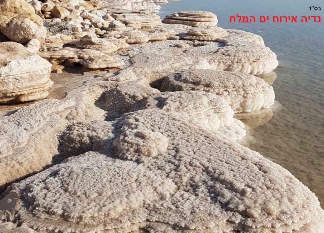 Nadia Hosting Dead Sea Villa Neve Zohar Dış mekan fotoğraf
